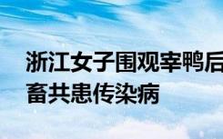 浙江女子围观宰鸭后确诊鹦鹉热 这是一种人畜共患传染病