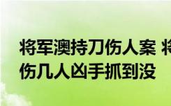 将军澳持刀伤人案 将军澳在香港什么地方受伤几人凶手抓到没