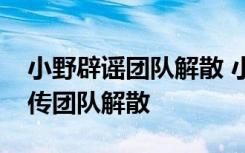 小野辟谣团队解散 小野具体怎么说为什么被传团队解散