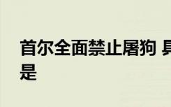 首尔全面禁止屠狗 具体条例是什么实施时间是