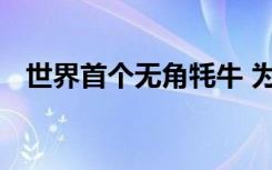 世界首个无角牦牛 为什么要培育无角牦牛