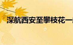 深航西安至攀枝花一航班轮胎扎伤 啥情况