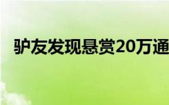 驴友发现悬赏20万通缉的命案逃犯 啥情况