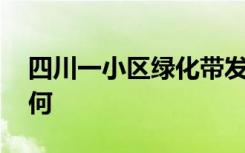 四川一小区绿化带发现男尸 目前调查情况如何