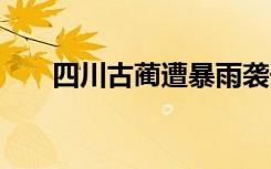 四川古蔺遭暴雨袭击 具体是啥情况呢