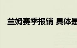 兰姆赛季报销 具体是啥情况兰姆资料简介