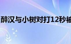 醉汉与小树对打12秒被KO三次 这是什么场面