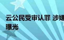 云公民受审认罪 涉嫌受贿超46亿 案件全过程曝光