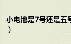 小电池是7号还是五号（小电池是7号还是5号）