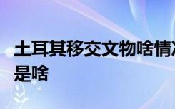 土耳其移交文物啥情况土耳其移交的文物具体是啥