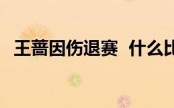 王蔷因伤退赛  什么比赛受了什么伤而退赛