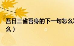 吾日三省吾身的下一句怎么写（吾日三省吾身的下一句是什么）