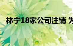 林宁18家公司注销 为什么要注销林宁是谁