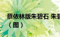 蔡依林版朱碧石 朱碧石是谁蔡依林版什么样（图）