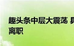 趣头条中层大震荡 具体情况是为啥那么多人离职