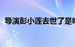 导演彭小莲去世了是啥情况因为什么去世的