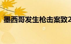 墨西哥发生枪击案致24死7伤 具体是啥情况