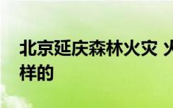 北京延庆森林火灾 火势大么具体情况是怎么样的