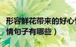 形容鲜花带来的好心情（形容鲜花带来的好心情句子有哪些）