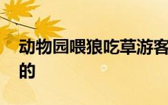 动物园喂狼吃草游客被列入黑名单 具体怎样的