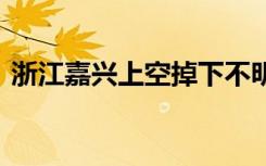 浙江嘉兴上空掉下不明物体 到底是个啥东西