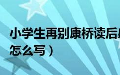 小学生再别康桥读后感（《再别康桥》读后感怎么写）