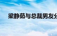 梁静茹与总裁男友分手 到底发生了什么