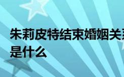 朱莉皮特结束婚姻关系是怎样的事情详细过程是什么