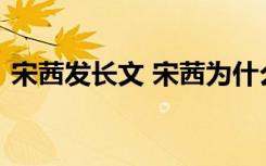 宋茜发长文 宋茜为什么发文长文内容是什么