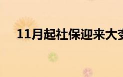 11月起社保迎来大变化 具体是什么变化