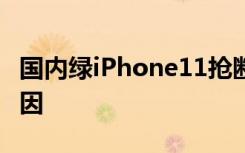 国内绿iPhone11抢断货 疯狂的背后是什么原因