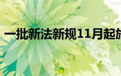 一批新法新规11月起施行 具体包括哪些规定