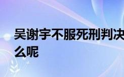 吴谢宇不服死刑判决将上诉 不服的理由是什么呢