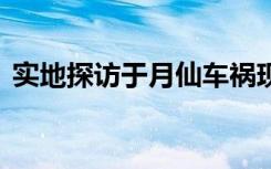 实地探访于月仙车祸现场 具体情况是怎样的