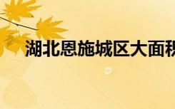 湖北恩施城区大面积被淹 受灾有多严重