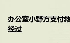 办公室小野方支付救助金 救助金额多少事情经过