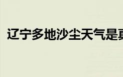 辽宁多地沙尘天气是真的吗具体情况是什么