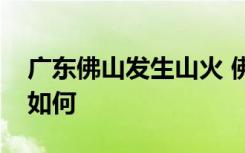 广东佛山发生山火 佛山山火严重吗人员伤亡如何