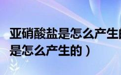 亚硝酸盐是怎么产生的化学方程式（亚硝酸盐是怎么产生的）