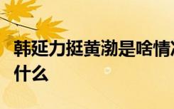 韩延力挺黄渤是啥情况韩延力挺黄渤发文说了什么