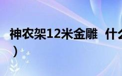 神农架12米金雕  什么是金雕竟有12米高（图）