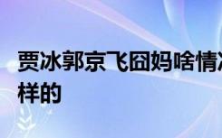 贾冰郭京飞囧妈啥情况贾冰郭京飞囧妈具体怎样的