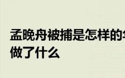 孟晚舟被捕是怎样的华为孟晚舟为什么被捕她做了什么