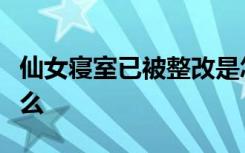 仙女寝室已被整改是怎样的具体事情经过是什么