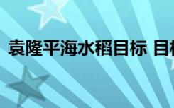 袁隆平海水稻目标 目标是什么什么是海水稻