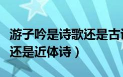 游子吟是诗歌还是古诗（《游子吟》是古体诗还是近体诗）