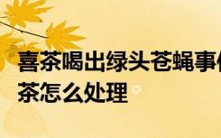 喜茶喝出绿头苍蝇事件经过是什么是哪里的喜茶怎么处理