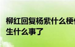 柳红回复杨紫什么梗什么意思柳红杨紫具体发生什么事了