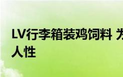 LV行李箱装鸡饲料 为什么用LV行李箱装壕无人性