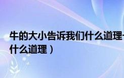 牛的大小告诉我们什么道理一年级（《牛的大小》告诉我们什么道理）